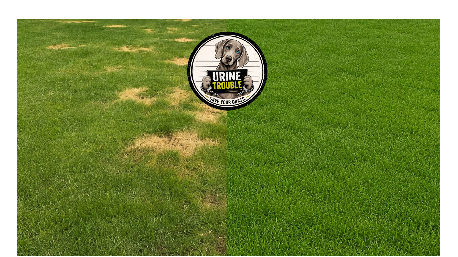 Urine Trouble Lawn Burn Reducer Rocks for Dogs